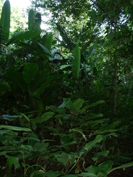 thumb_Venezuela_to_Panama_041.jpg