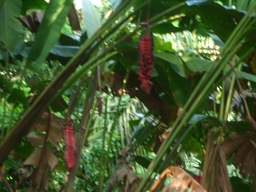 thumb_Venezuela_to_Panama_044.jpg