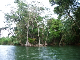 thumb_Venezuela_to_Panama_045.jpg