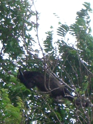 thumb_Venezuela_to_Panama_049.jpg