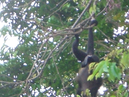thumb_Venezuela_to_Panama_051.jpg