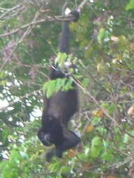 thumb_Venezuela_to_Panama_052.jpg