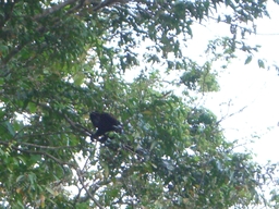 thumb_Venezuela_to_Panama_054.jpg