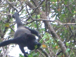 thumb_Venezuela_to_Panama_056.jpg
