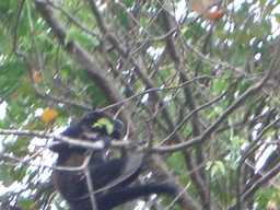 thumb_Venezuela_to_Panama_057.jpg