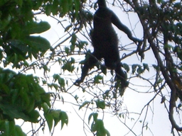 thumb_Venezuela_to_Panama_058.jpg