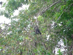 thumb_Venezuela_to_Panama_064.jpg