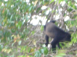 thumb_Venezuela_to_Panama_065.jpg