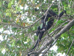thumb_Venezuela_to_Panama_066.jpg