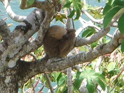thumb_Venezuela_to_Panama_067.jpg