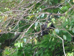 thumb_Venezuela_to_Panama_068.jpg