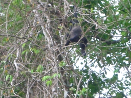 thumb_Venezuela_to_Panama_069.jpg