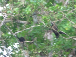 thumb_Venezuela_to_Panama_070.jpg