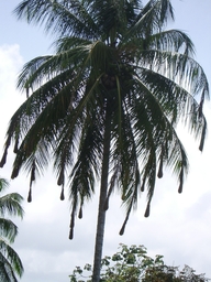 thumb_Venezuela_to_Panama_071.jpg