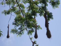 thumb_Venezuela_to_Panama_072.jpg