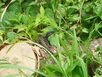 thumb_Venezuela_to_Panama_077.jpg