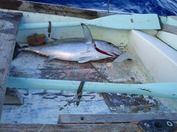 thumb_Venezuela_to_Panama_091.jpg