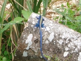 thumb_Venezuela_to_Panama_095.jpg