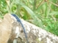 thumb_Venezuela_to_Panama_096.jpg