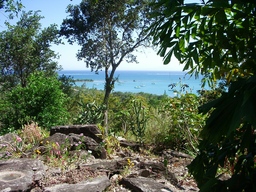 thumb_Venezuela_to_Panama_109.jpg