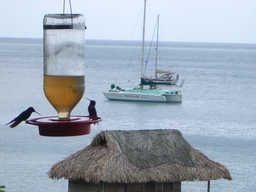 thumb_Venezuela_to_Panama_127.jpg