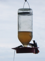 thumb_Venezuela_to_Panama_132.jpg