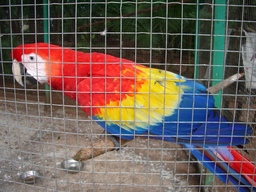 thumb_Venezuela_to_Panama_136.jpg