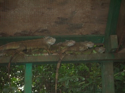 thumb_Venezuela_to_Panama_137.jpg