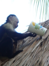 thumb_Venezuela_to_Panama_148.jpg