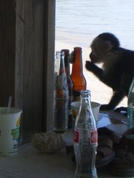 thumb_Venezuela_to_Panama_149.jpg