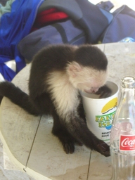 thumb_Venezuela_to_Panama_152.jpg