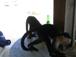 thumb_Venezuela_to_Panama_156.jpg