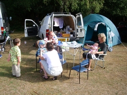 thumb_06_new_forest_012.jpg