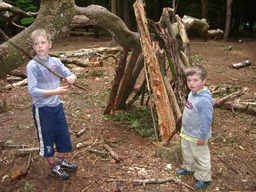 thumb_06_new_forest_014.jpg