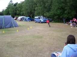 thumb_06_new_forest_027.jpg