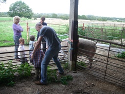 thumb_x_042.jpg