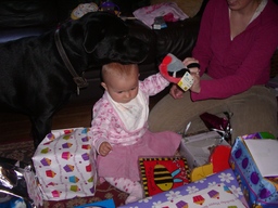 thumb_x_048.jpg
