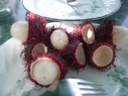 thumb_06_Oct-Cochinos_036.jpg