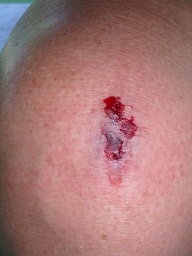 thumb_06_Oct-Cochinos_041.jpg