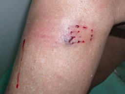 thumb_06_Oct-Cochinos_043.jpg