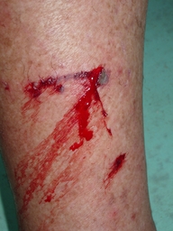thumb_06_Oct-Cochinos_048.jpg