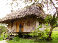 thumb_07Guat-LaCeiba_001.jpg