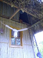 thumb_07Guat-LaCeiba_003.jpg