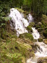 thumb_07Guat-LaCeiba_013.jpg