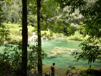 thumb_07Guat-LaCeiba_014.jpg