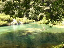 thumb_07Guat-LaCeiba_031.jpg