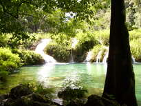 thumb_07Guat-LaCeiba_032.jpg