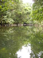 thumb_07Guat-LaCeiba_049.jpg