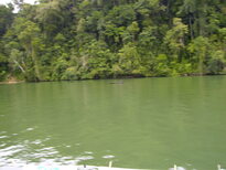 thumb_07Guat-LaCeiba_052.jpg