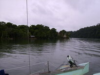 thumb_07Guat-LaCeiba_053.jpg
